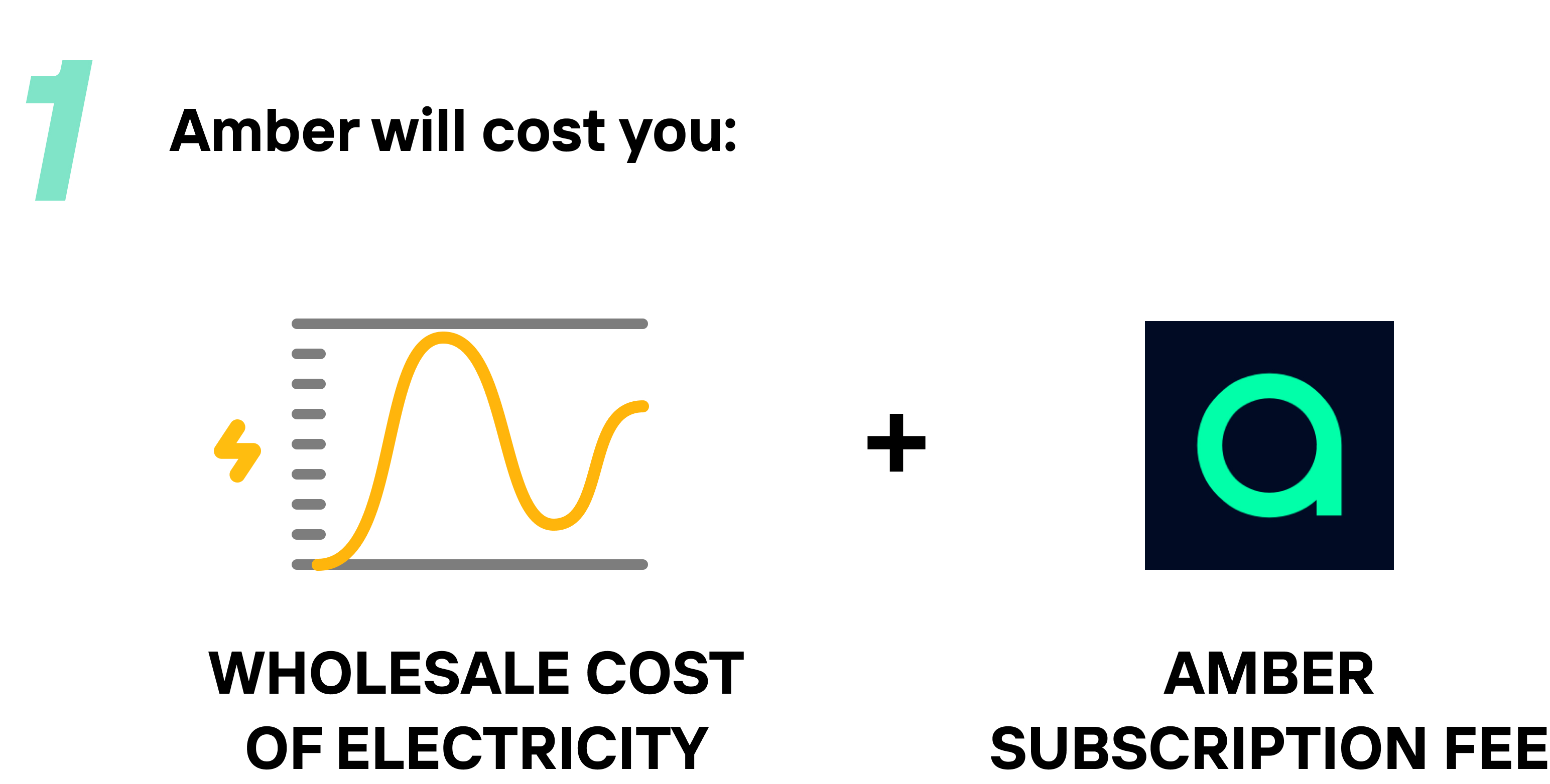 What is the wholesale price made up of? – Amber Electric